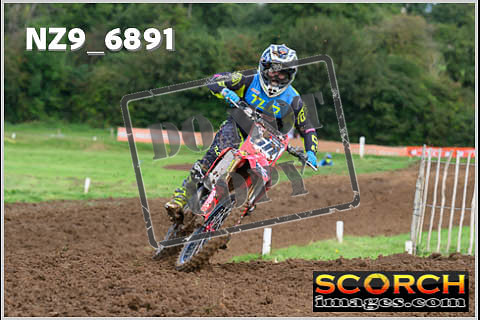 Experts-083