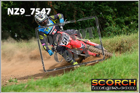 Experts-091