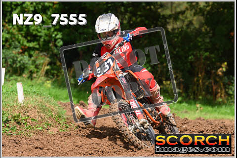 Experts-099