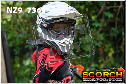 85'S-061