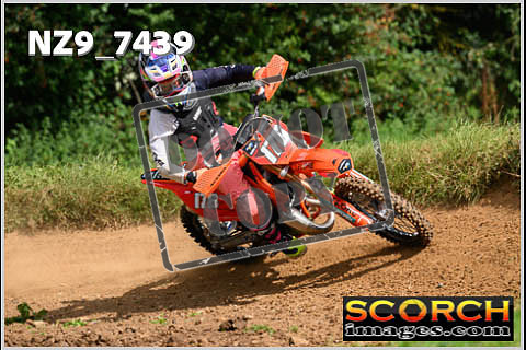 85'S-081