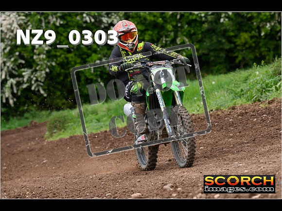 IntersGreen-250