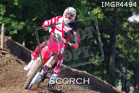 IMGP4494