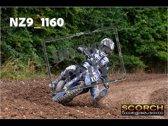 Experts-041
