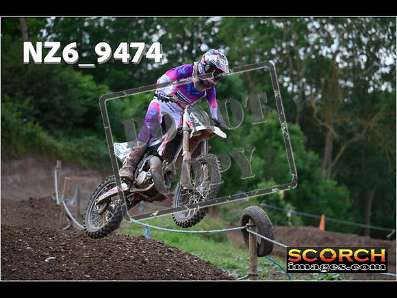 Experts-238