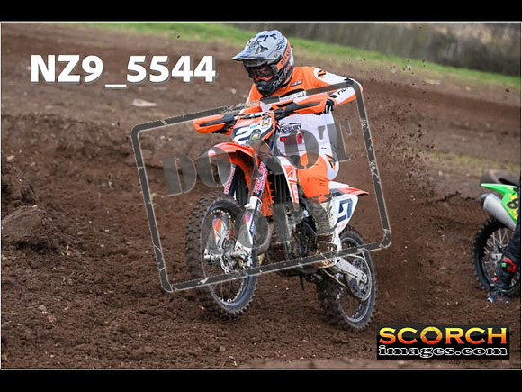 Experts-053