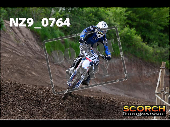 IntersGreen-296