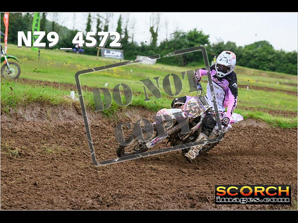 Experts-288