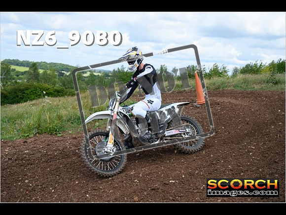 Experts-145