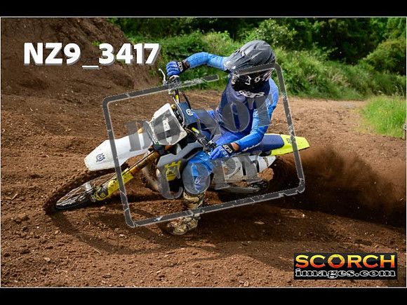 Experts-050