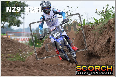 Experts-027