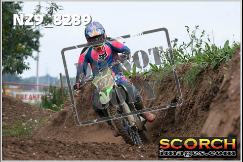 Experts-034