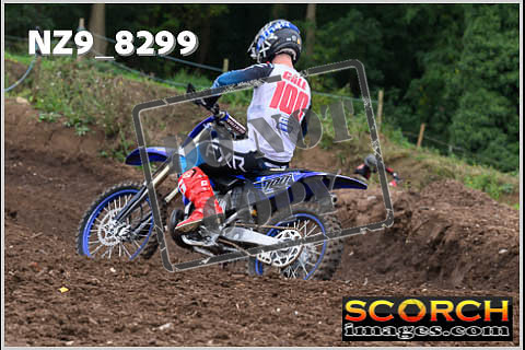 Experts-043