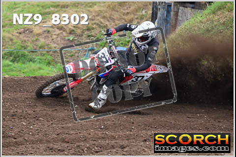Experts-046