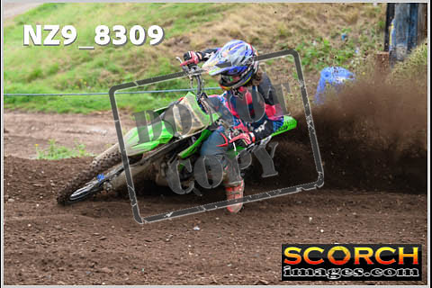 Experts-053