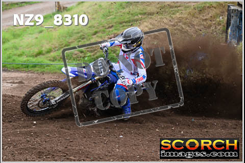 Experts-054