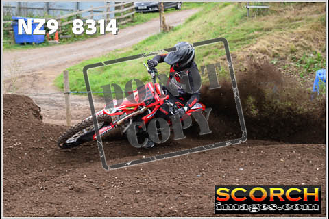Experts-058