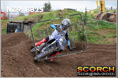 Experts-069