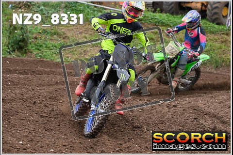 Experts-074
