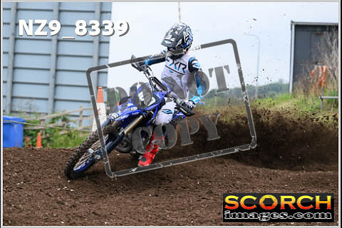 Experts-081