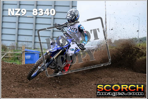 Experts-082