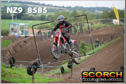 Experts-091