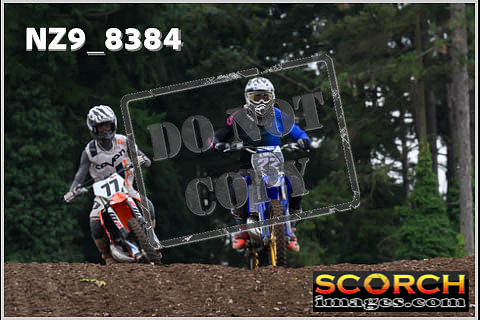 Intermediates-030