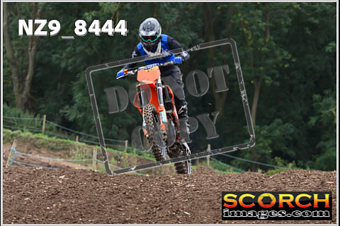 Intermediates-087