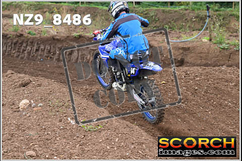 Intermediates-129