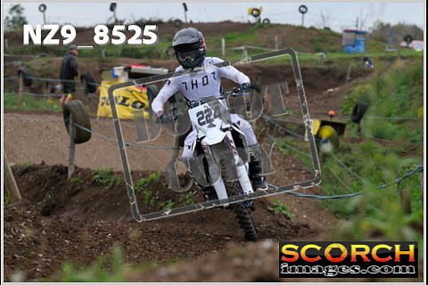 Intermediates-168