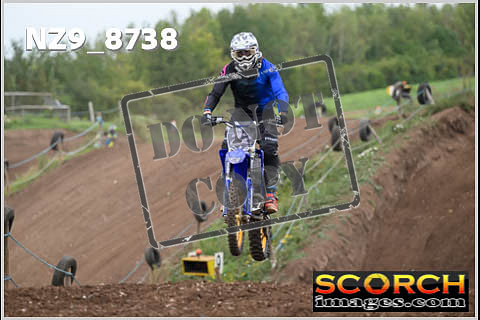 Intermediates-215