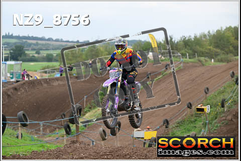 Intermediates-231