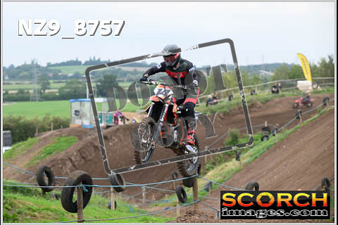 Intermediates-232