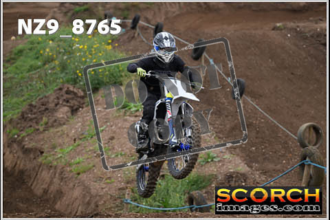 Intermediates-239