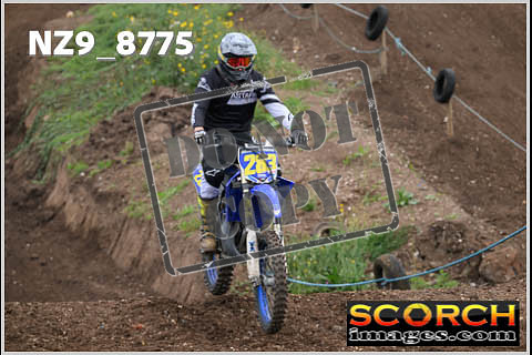 Intermediates-249