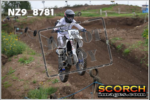 Intermediates-255