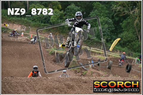 Intermediates-256