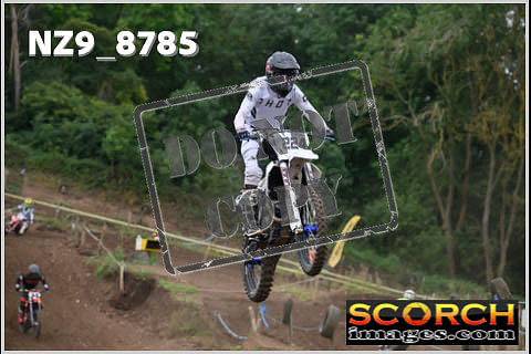 Intermediates-259