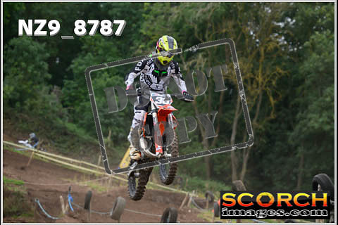 Intermediates-261