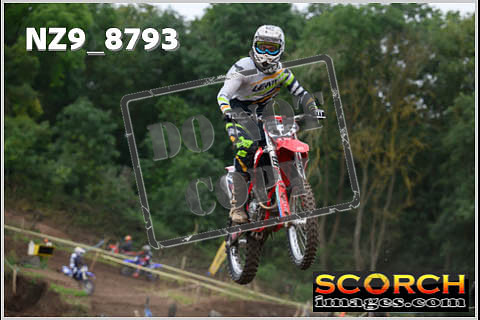 Intermediates-267