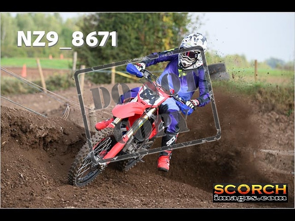 Experts-077