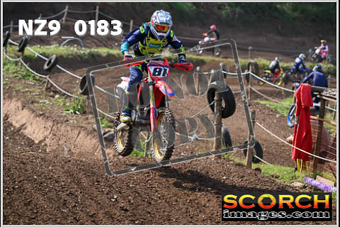 Inters Green-148