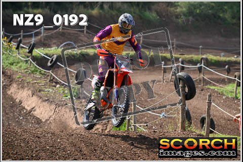 Inters Green-157