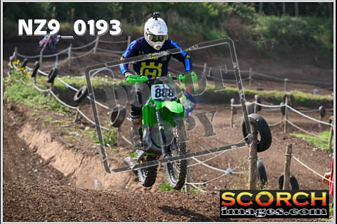 Inters Green-158
