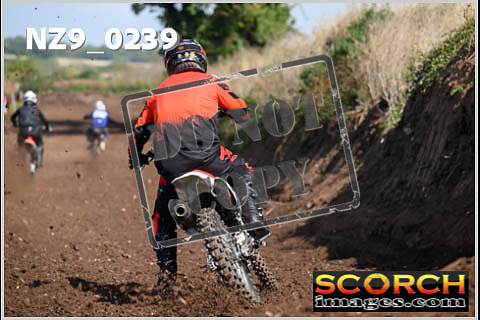 Inters Green-204