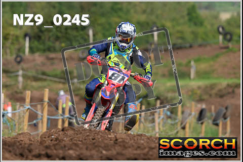 Inters Green-210