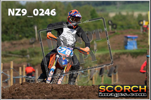 Inters Green-211