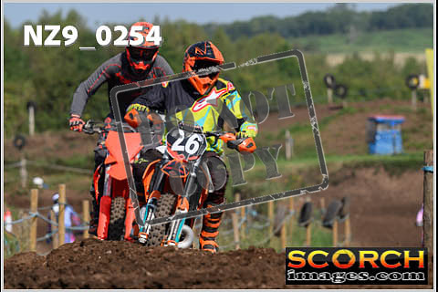 Inters Green-219