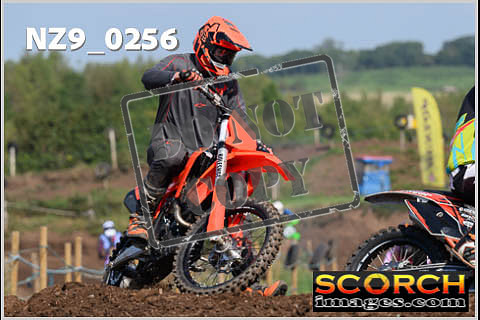 Inters Green-221