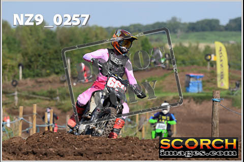Inters Green-222